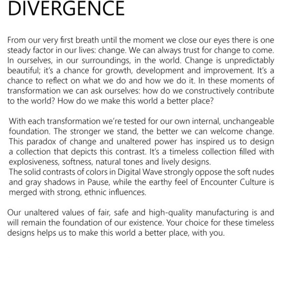 Amor Collections by Anthropology Pashmina Scarf - Picture 6 of 8